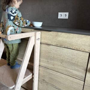 Triángulo Evolutivo Mokuzai